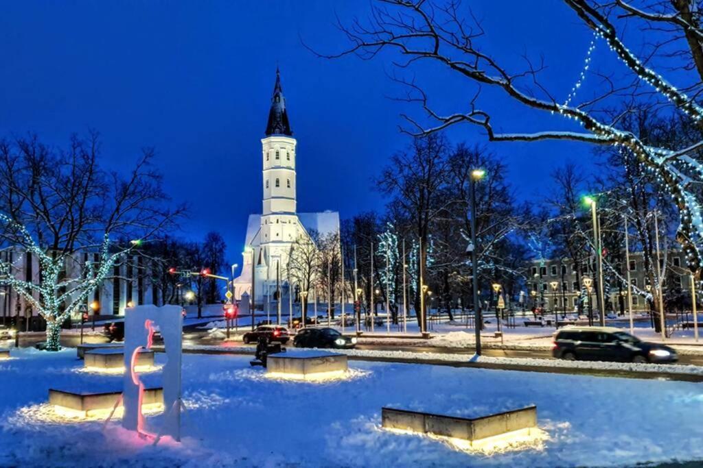 Lyra63 Large 80Sq M Top 14 Floor Šiauliai 외부 사진