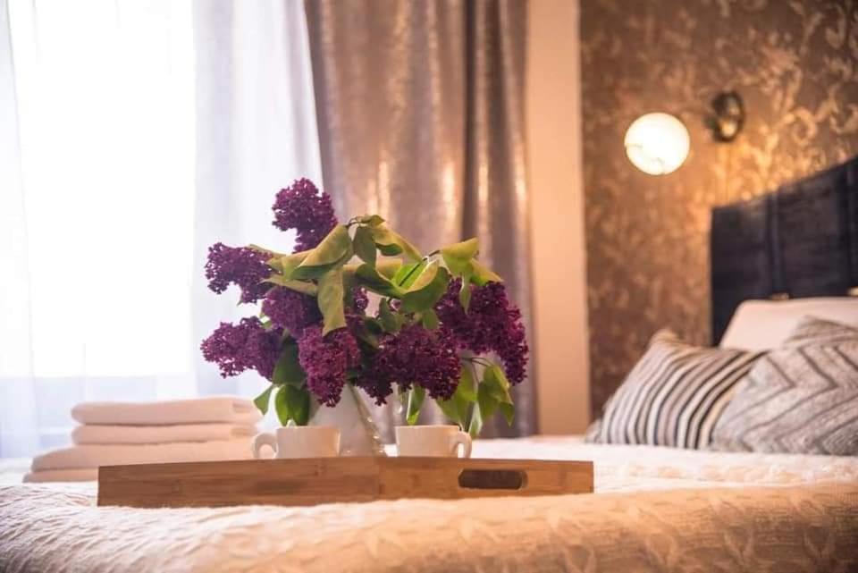 Lyra63 Large 80Sq M Top 14 Floor Šiauliai 외부 사진